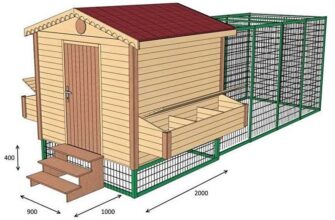 Как сделать курятник своими руками: этапы и нюансы строительства